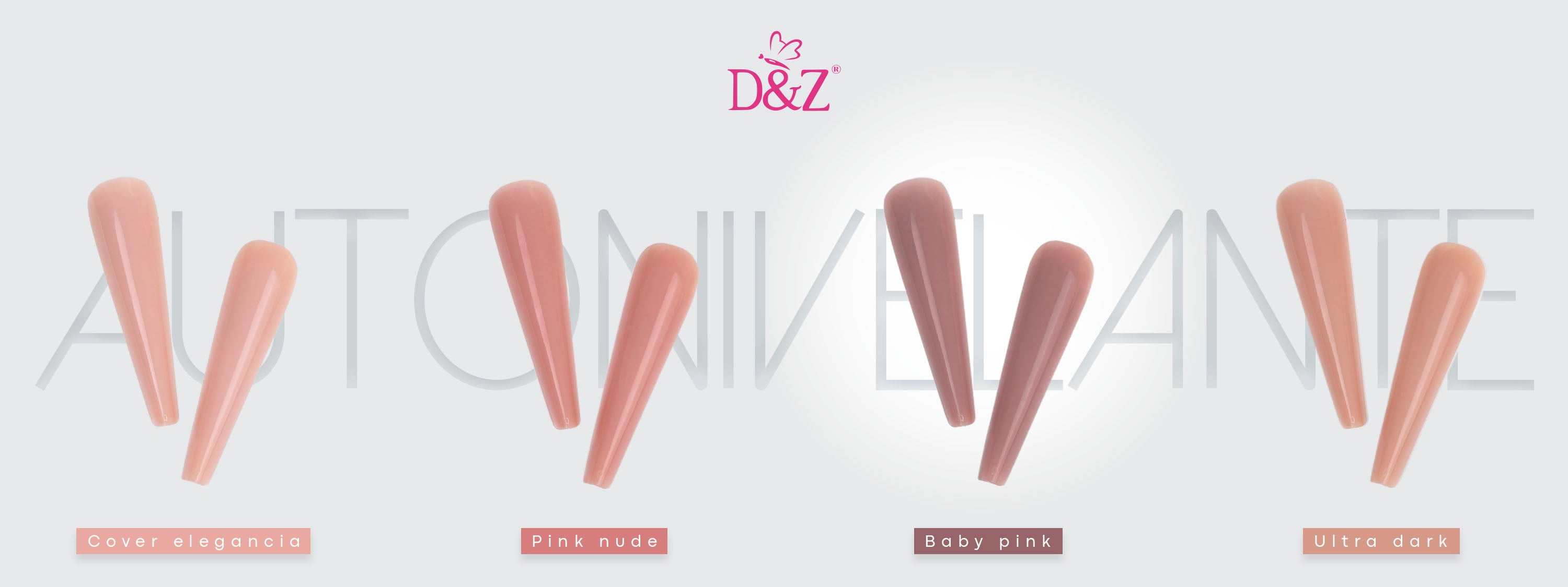 D&Z